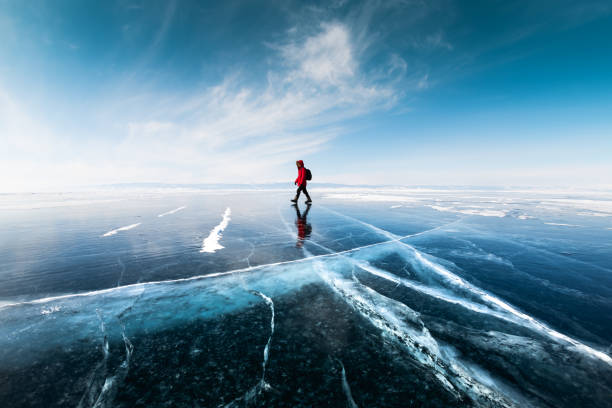 Forest boardwalk or wet roots where careful steps matter